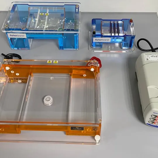 Cámaras de electroforesis